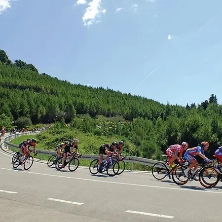 Lägenhet City Center *