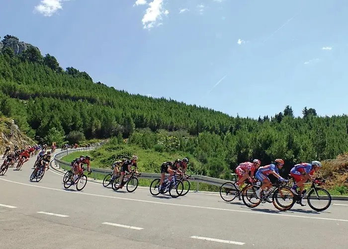 Apartment City Center *